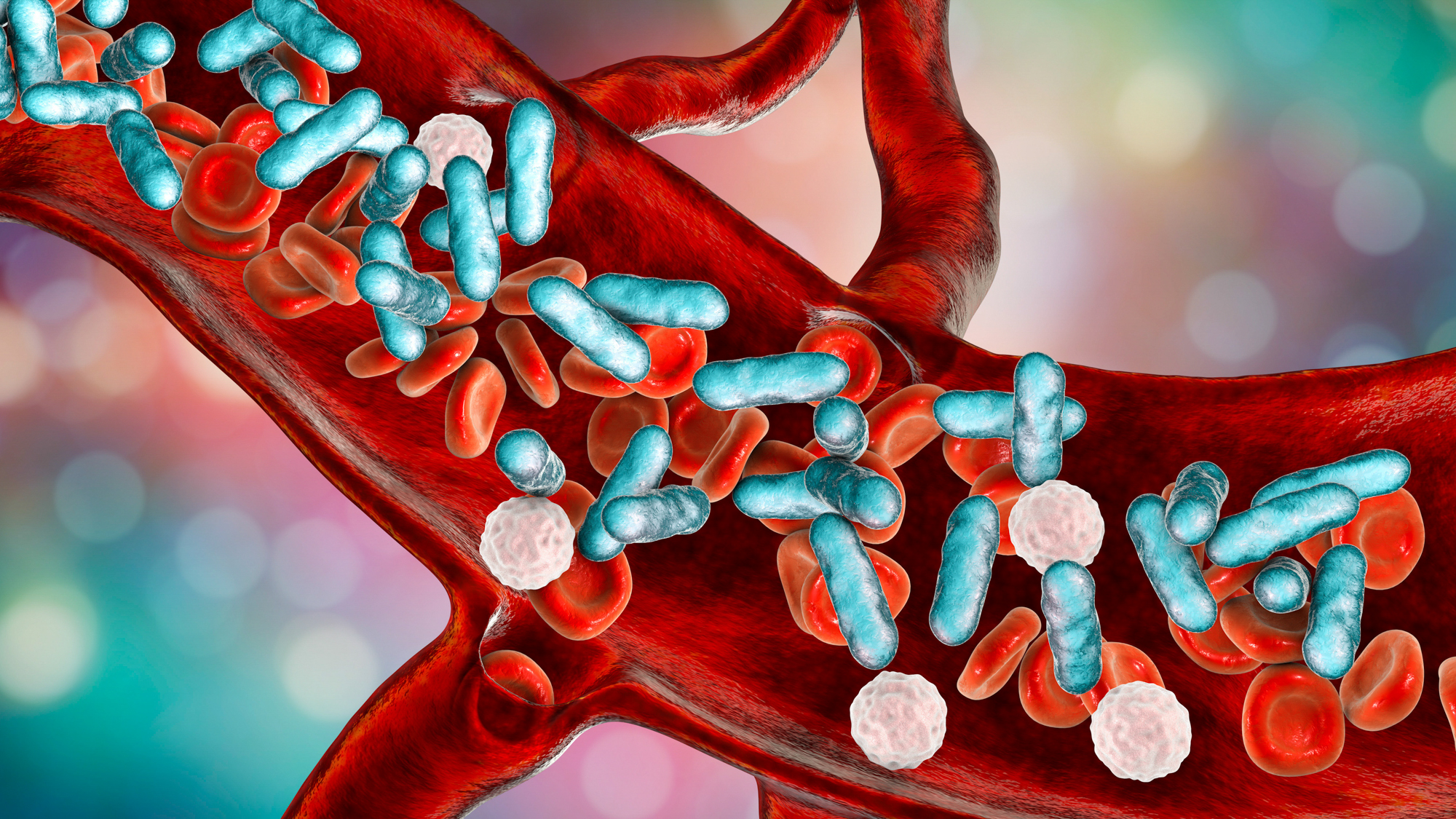germs in an artery