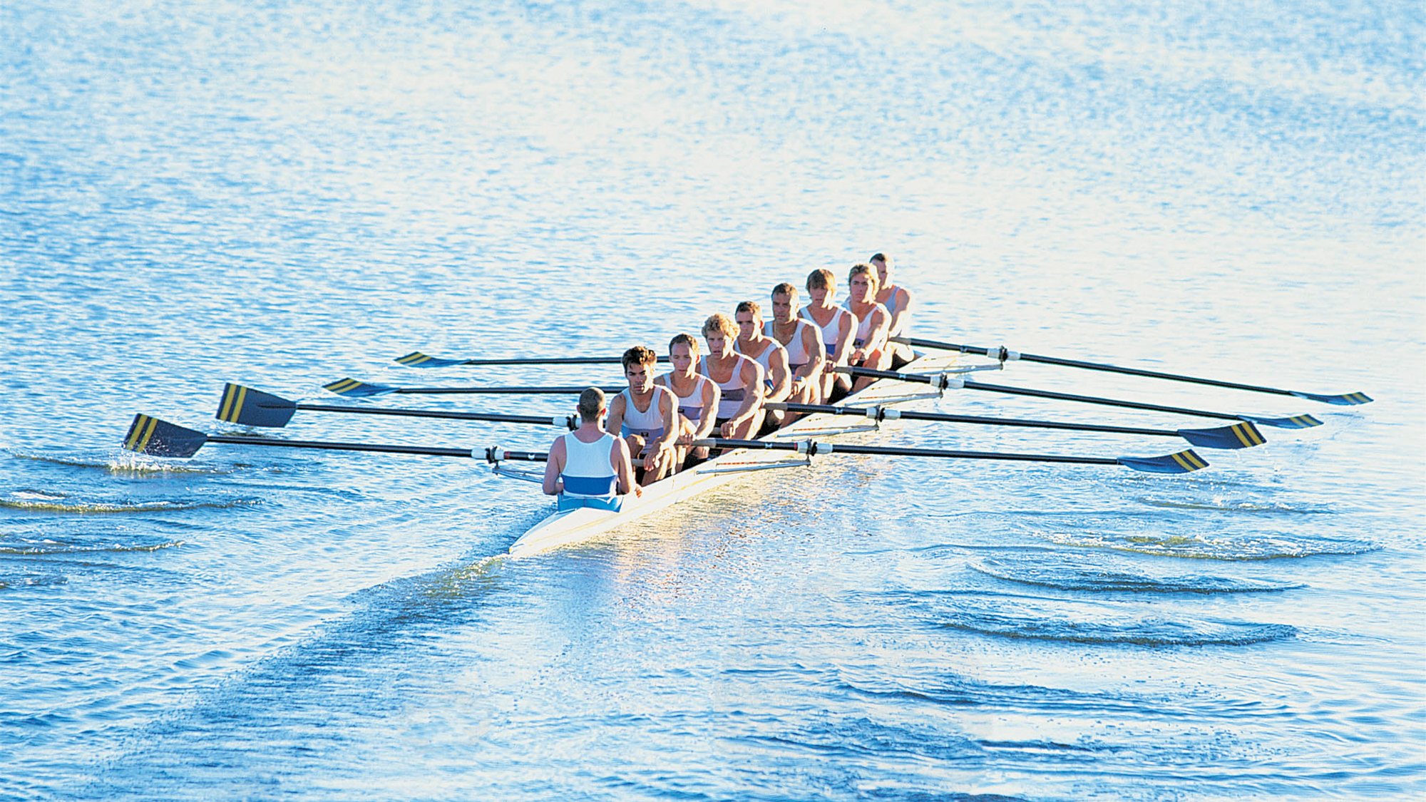 crew rowing on river