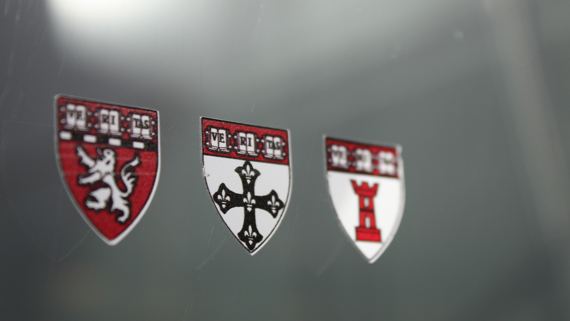 assorted Harvard insignia