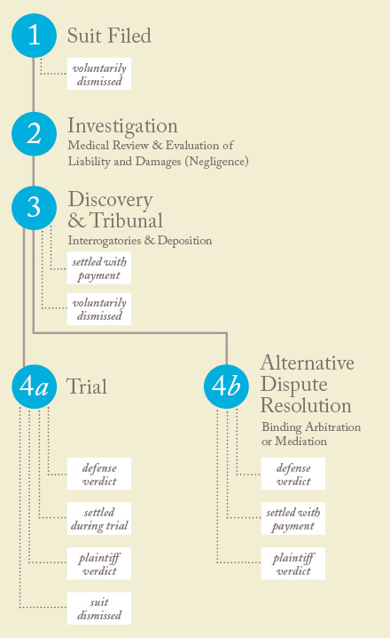 chronology of a case